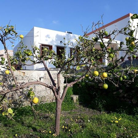 Maria Guesthouse Kini Dış mekan fotoğraf